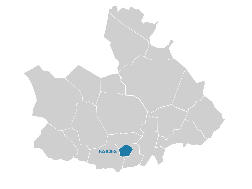 Mapa de Baiões