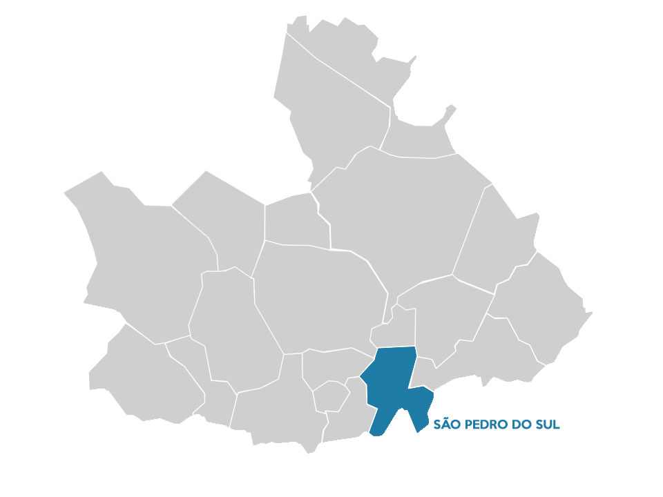 Mapa de São Pedro do Sul